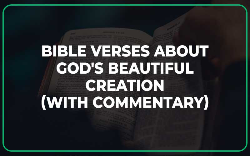 Bible Verses About God's Beautiful Creation
