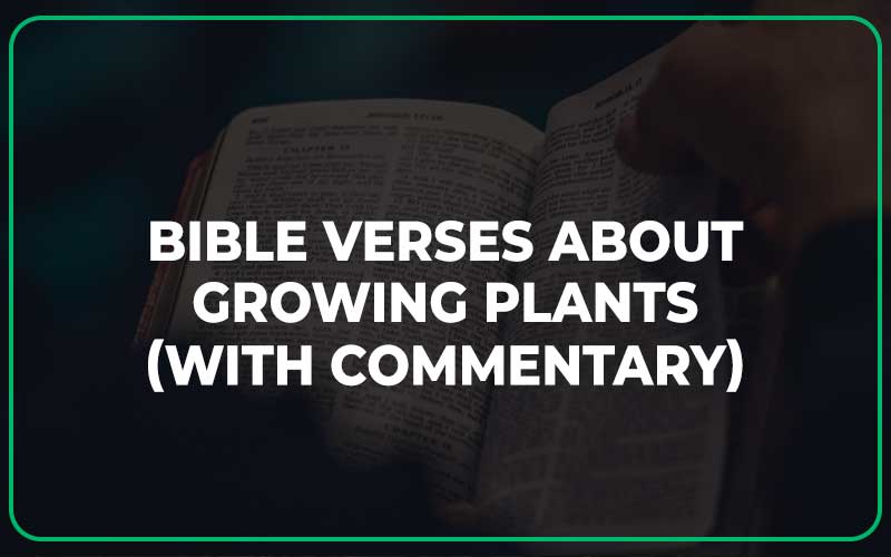 Bible Verses About Growing Plants