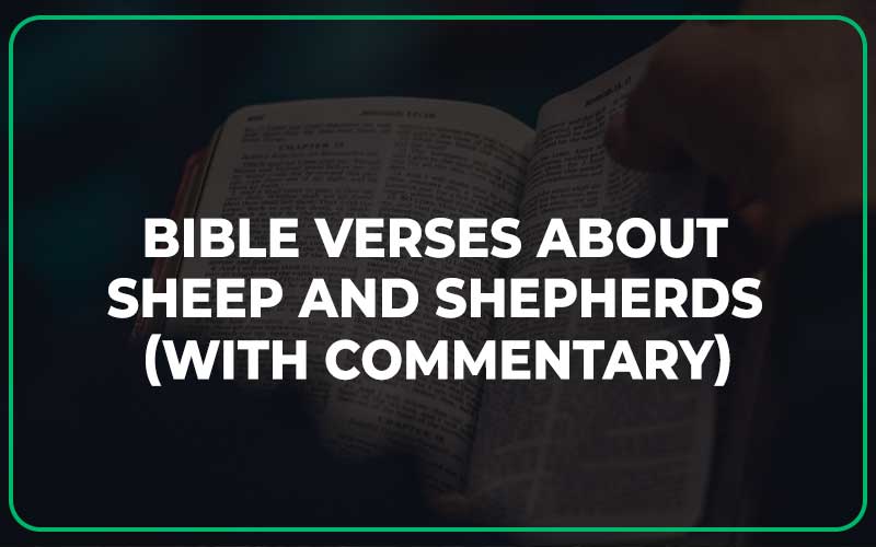 Bible Verses About Sheep And Shepherds