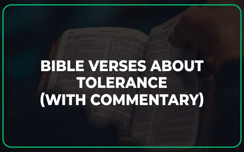 Bible Verses About Tolerance