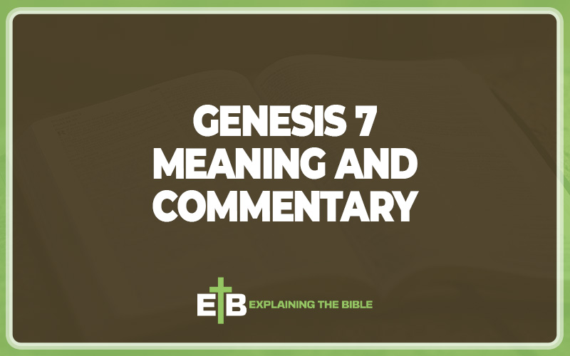 Genesis 7 Meaning and Commentary
