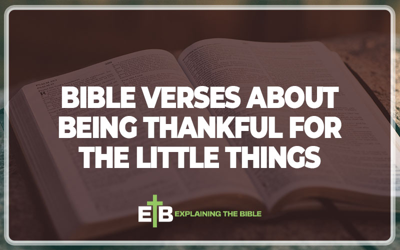 Bible Verses About Being Thankful For The Little Things