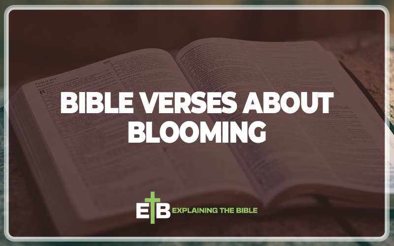 Bible Verses About Blooming