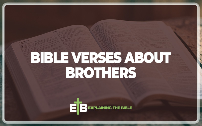 Bible Verses About Brothers