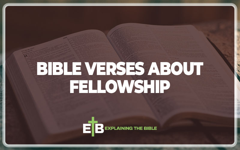 Bible Verses About Fellowship