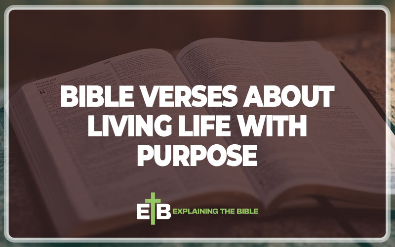 Bible Verses About Living Life With Purpose