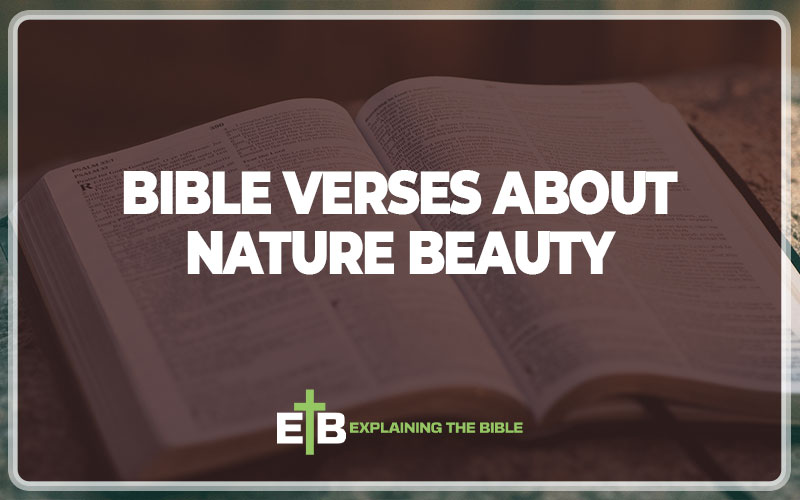Bible Verses About Nature Beauty