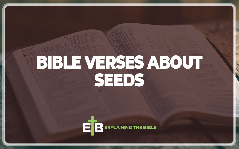 Bible Verses About Seeds