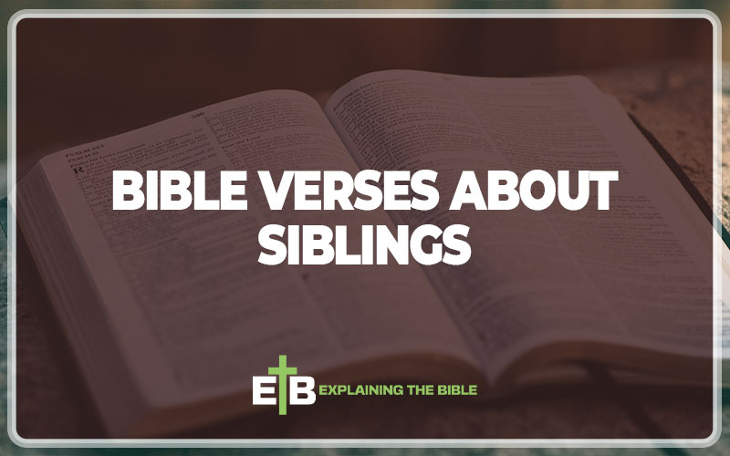 30 Bible Verses About Siblings Explained Explaining The Bible 