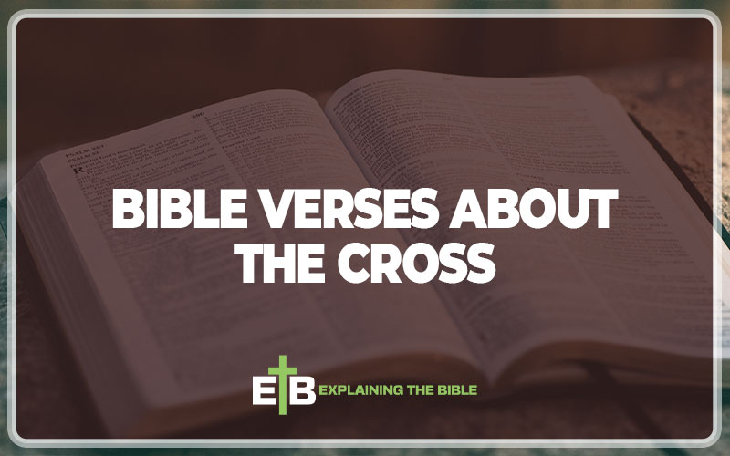 Bible Verses About The Cross