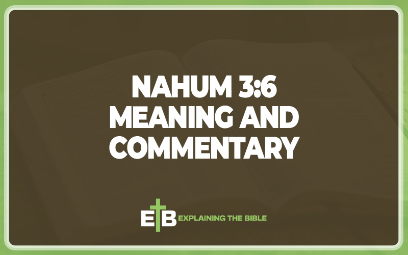 Nahum 3:6 Meaning and Commentary