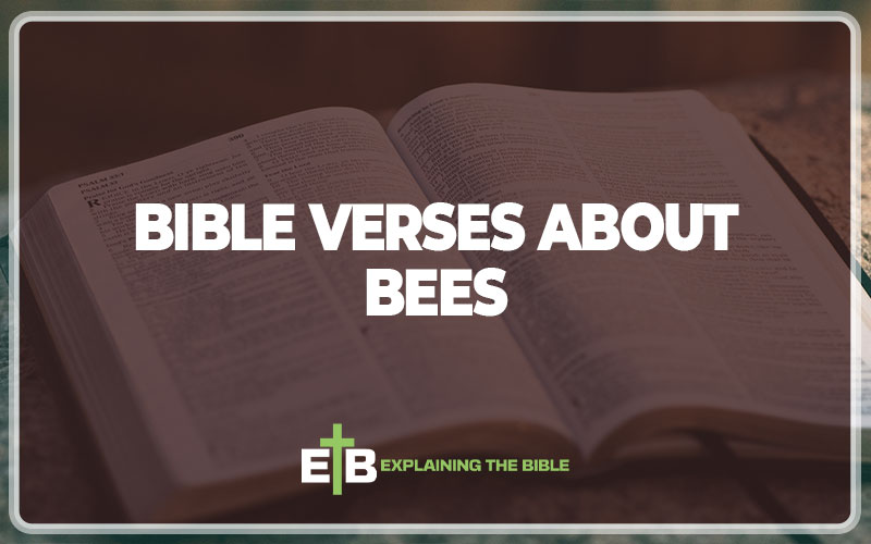 Bible Verses About Bees
