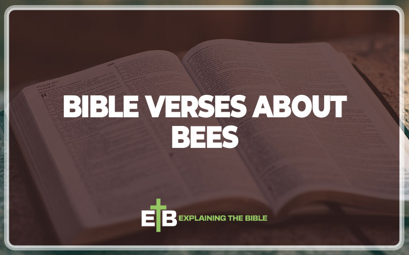 30 Important Bible Verses About Bees - Explaining The Bible