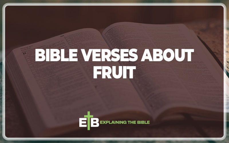 Bible Verses About Fruit