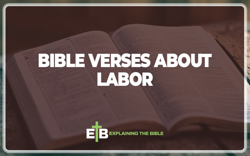 Bible Verses About Labor