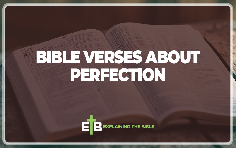 Bible Verses About Perfection