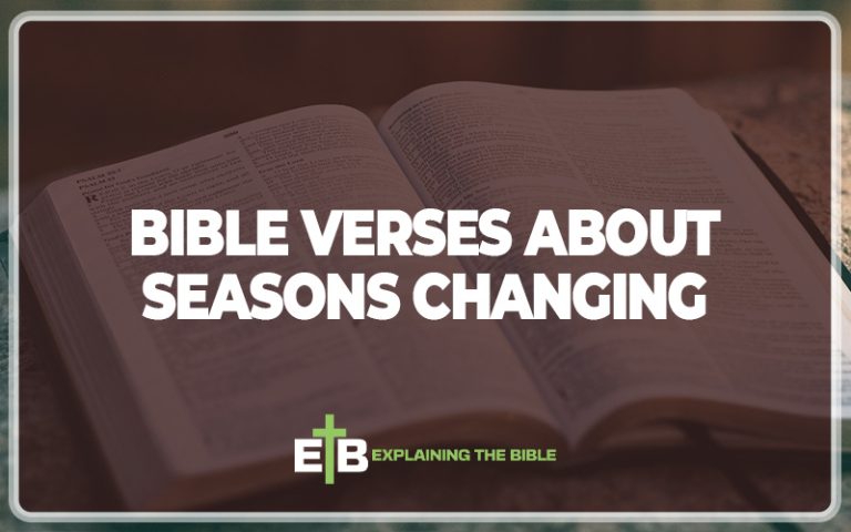 30 Important Bible Verses About Seasons Changing - Explaining The Bible