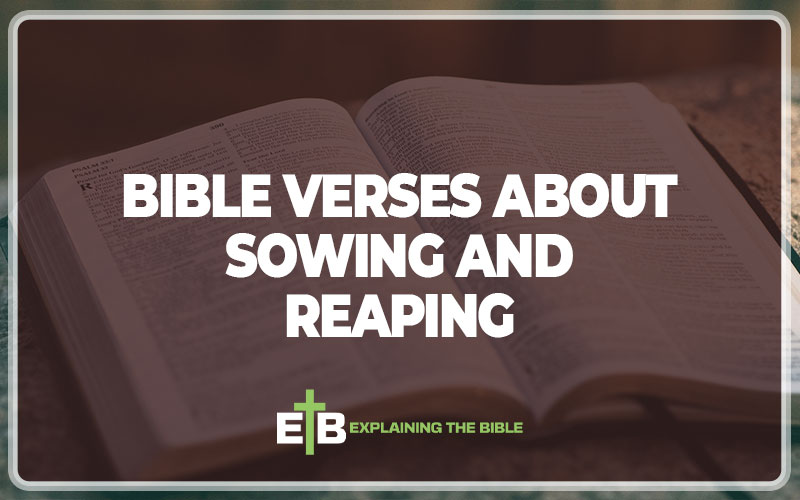 Bible Verses About Sowing And Reaping