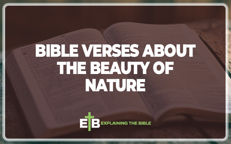 Bible Verses About The Beauty Of Nature