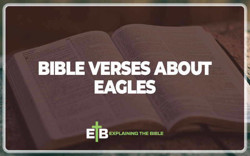Bible Verses About Eagles