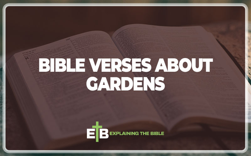 Bible Verses About Gardens