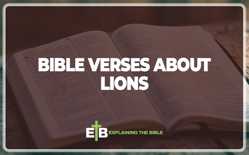 Bible Verses About Lions