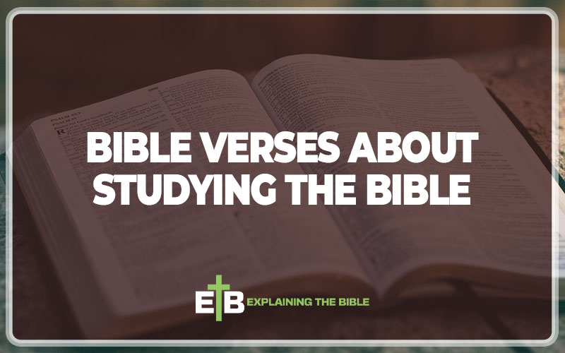 Bible Verses About Studying The Bible