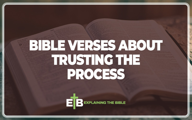 Bible Verses About Trusting the Process