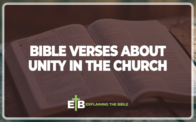 Bible Verses About Unity In The Church