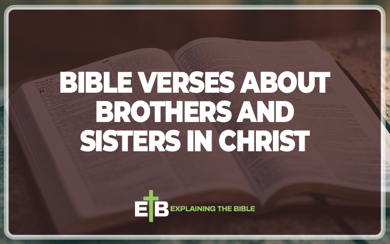 Bible Verses about Brothers and Sisters in Christ