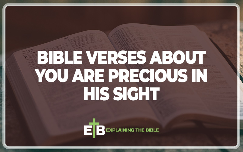 Bible Verses about You are Precious in His Sight