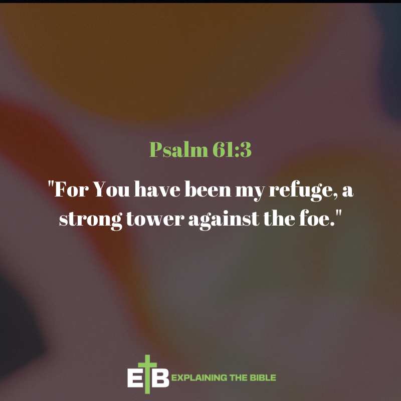 Psalm 61:3