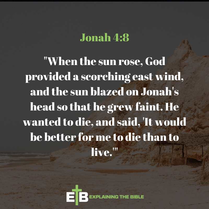 Jonah 4:8