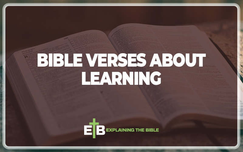 Bible Verses About Learning