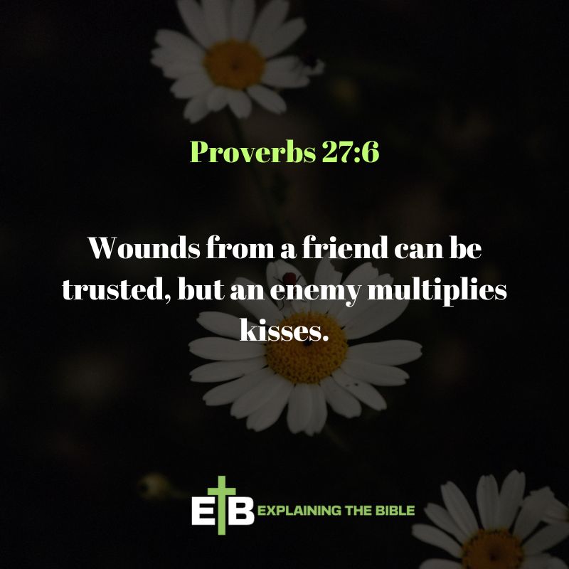 Proverbs 27:6
