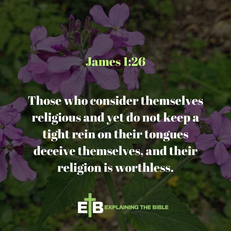 James 1:26