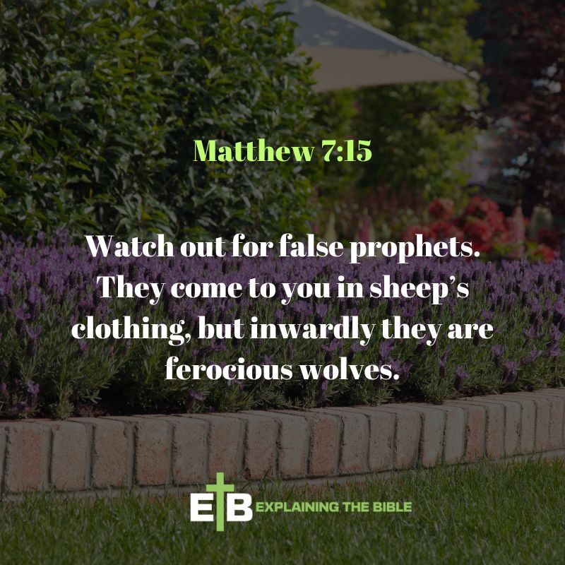 Matthew 7:15