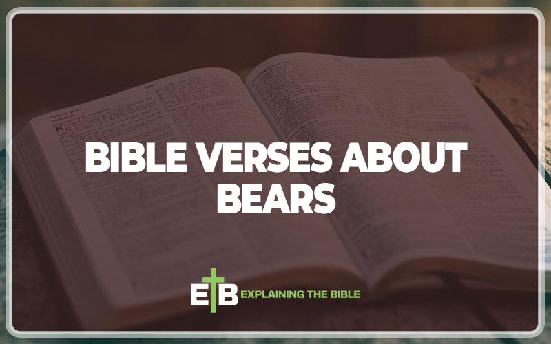 Bible Verses About Bears