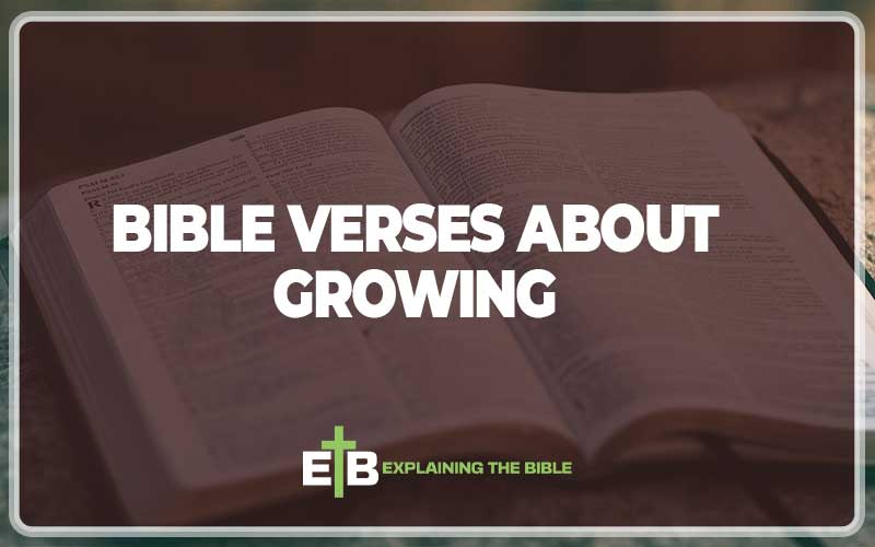 Bible Verses About Growing