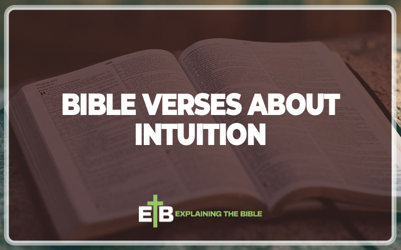 Bible Verses About Intuition