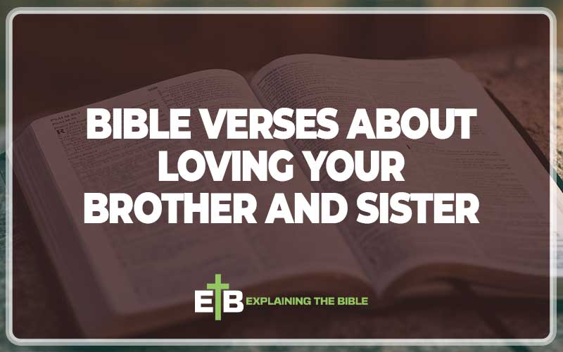 Bible Verses About Loving Your Brother and Sister