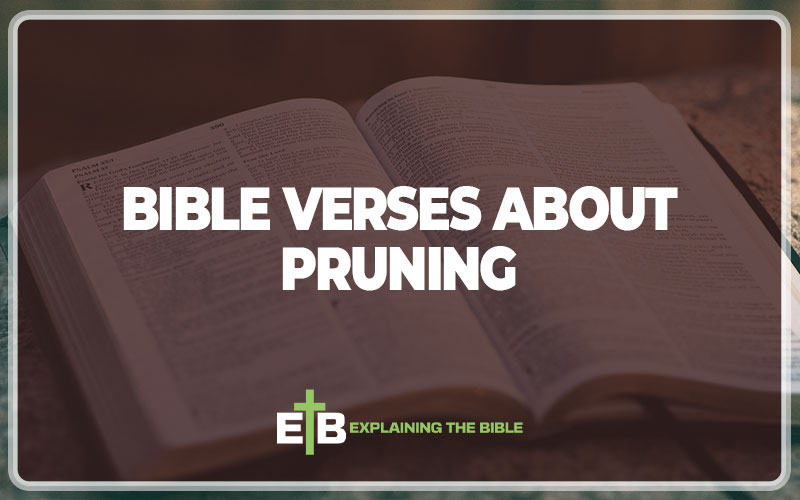 30 Important Bible Verses About Pruning (Explained) – Explaining The Bible