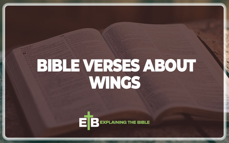 Bible Verses About Wings