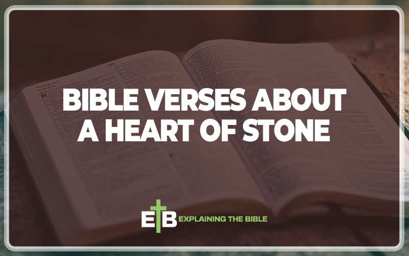 Bible Verses About a Heart of Stone