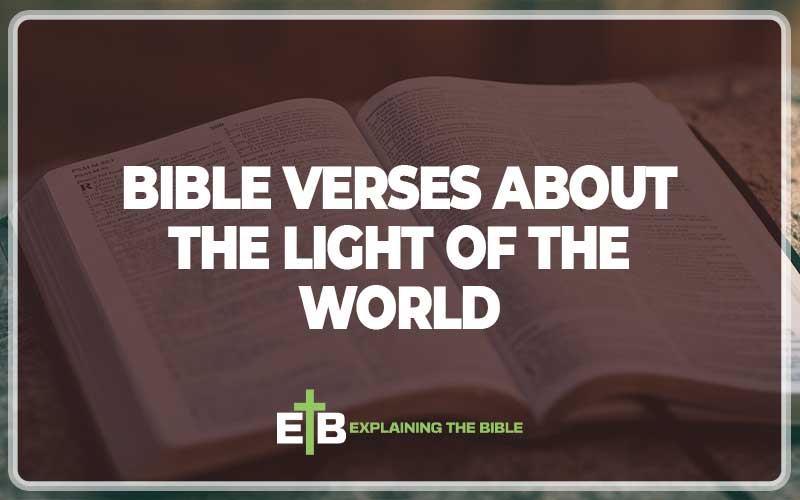 Bible Verses About the Light of the World