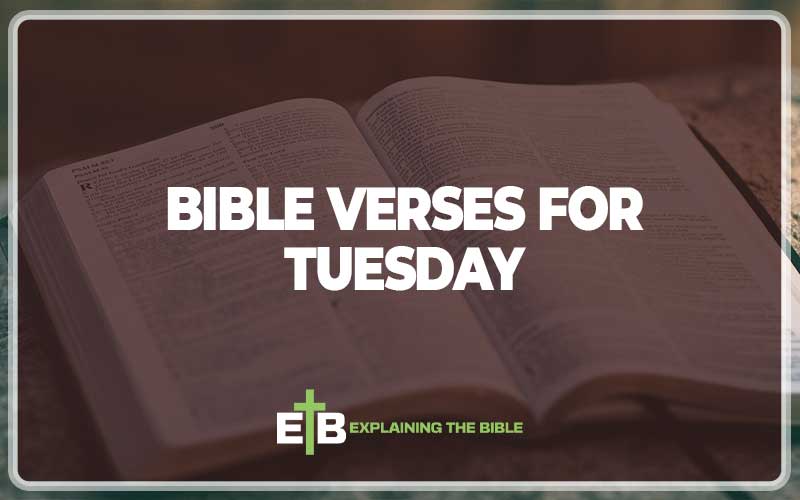 Bible Verses For Tuesday