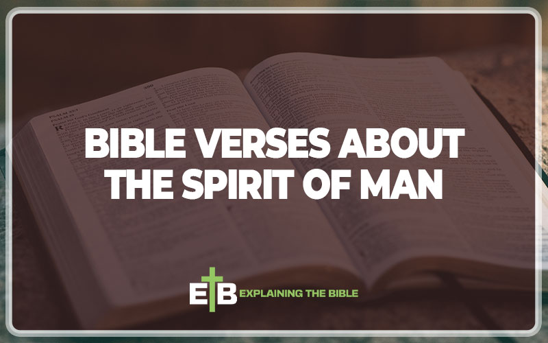 Bible Verses about The Spirit of Man