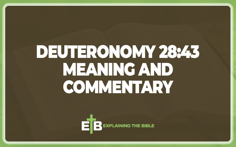 deuteronomy-22-1-12-rice-road-church-of-christ