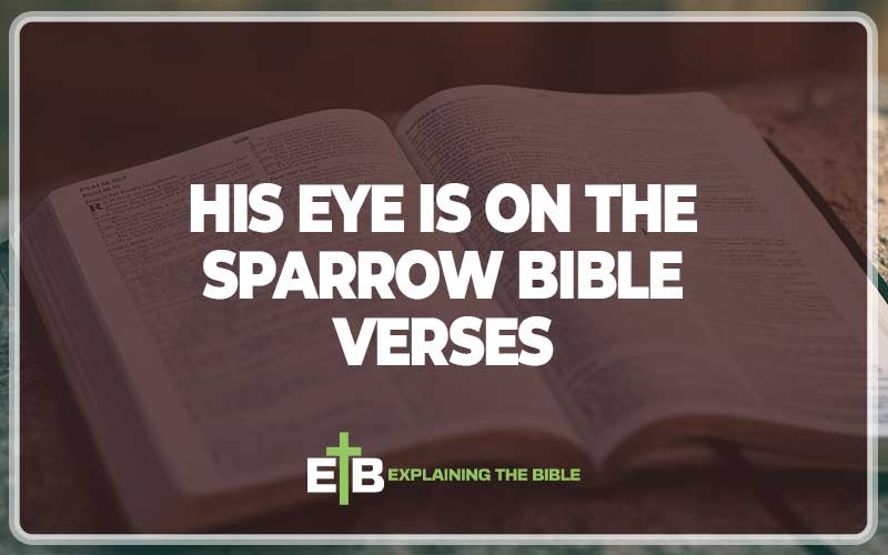 His Eye Is on the Sparrow Bible Verses