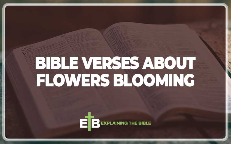 Bible Verses About Flowers Blooming